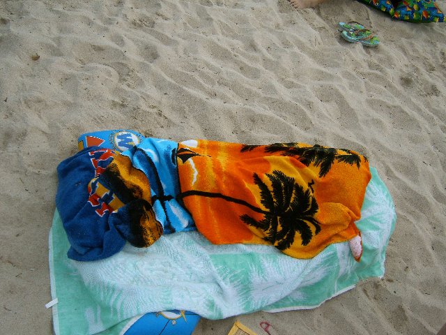 img149/2604/img00139nv9.jpg