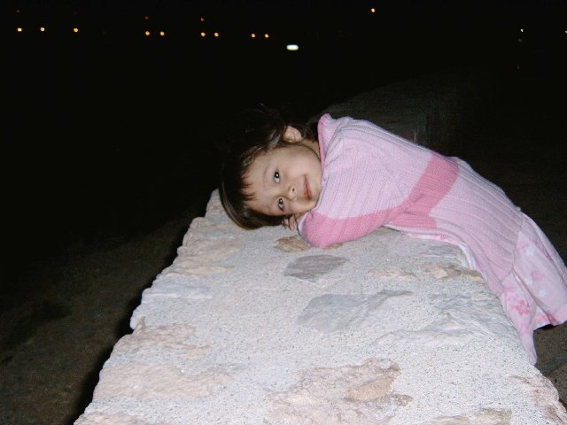 img100/5995/img00229lm8.jpg